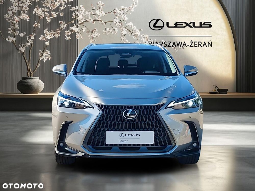 Lexus NX - 10