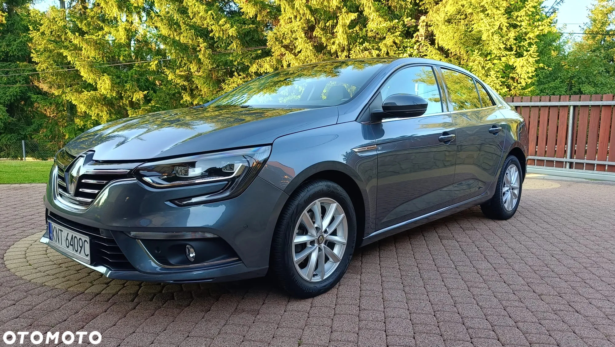 Renault Megane - 18