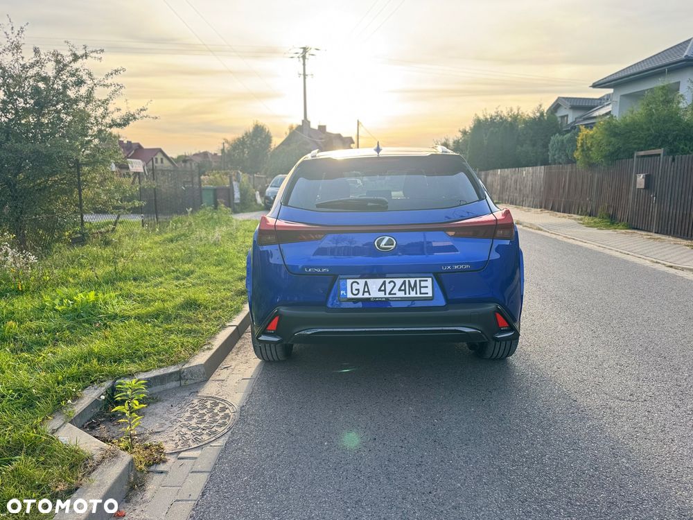 Lexus UX 300h F Sport - 6