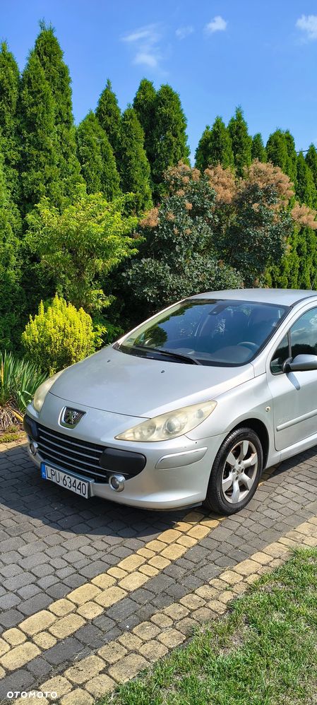 Peugeot 307 1.6 Oxygo - 7