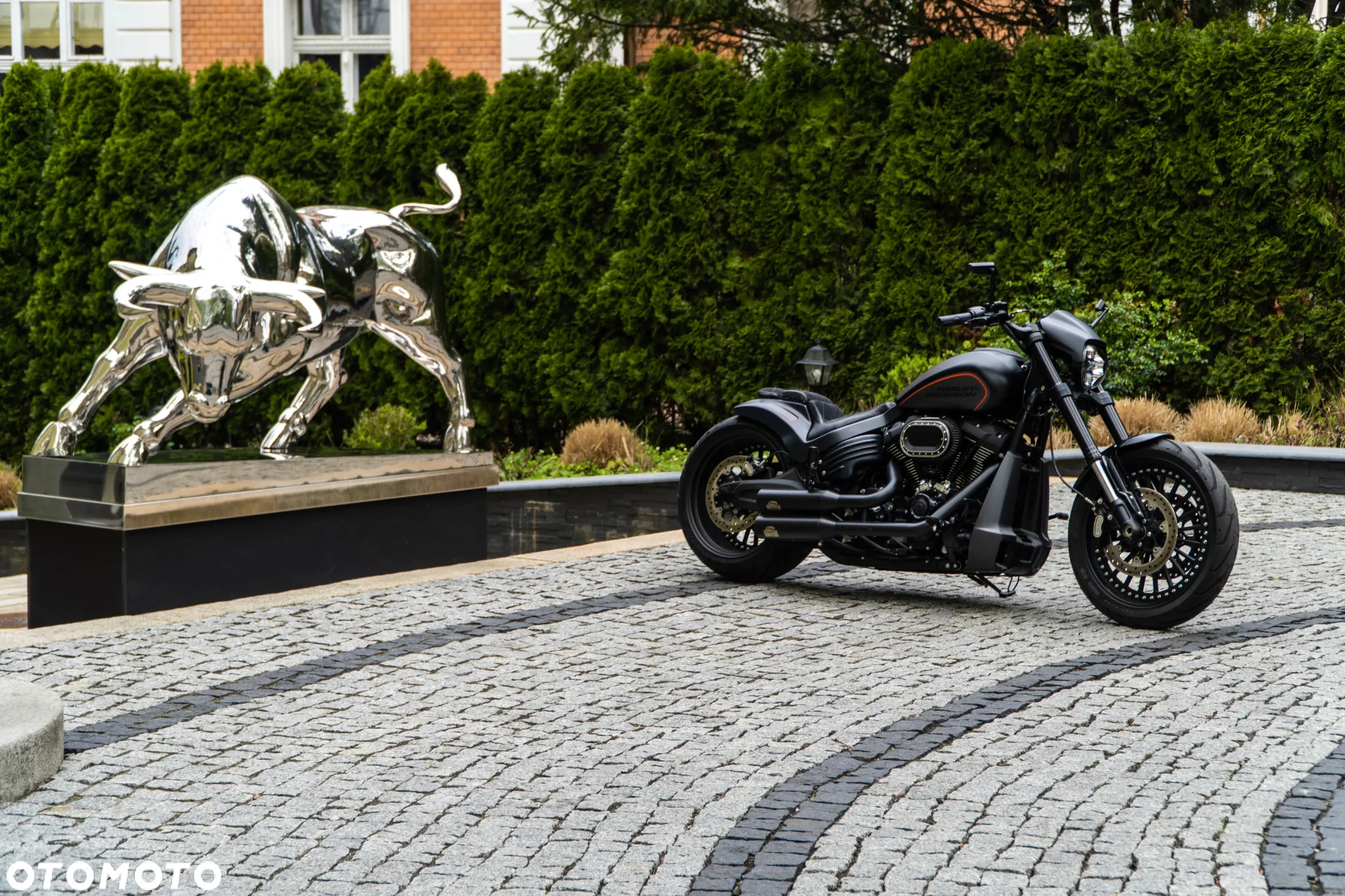 Harley-Davidson Softail FXDR - 28