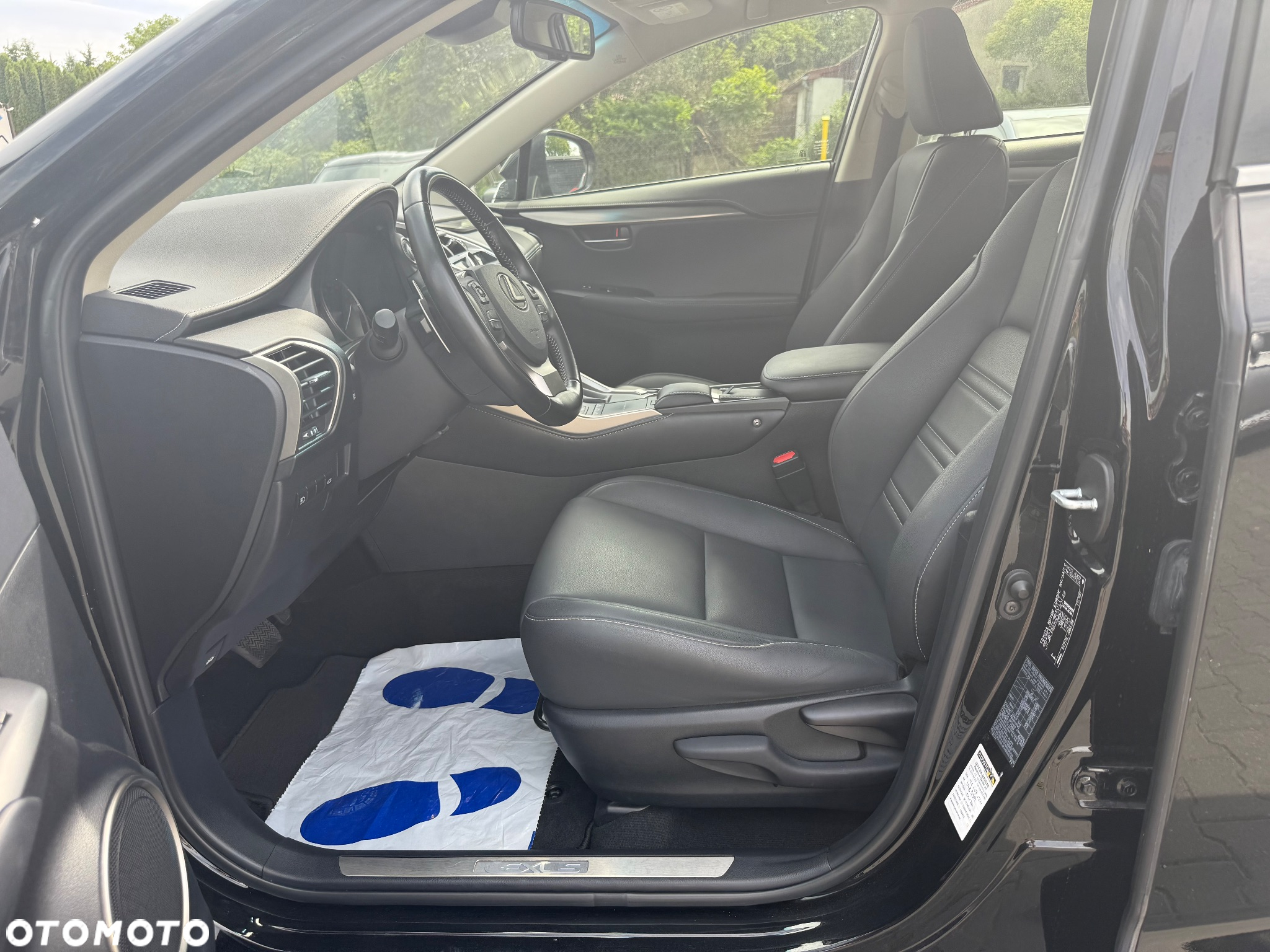 Lexus NX 300h Style Edition - 12