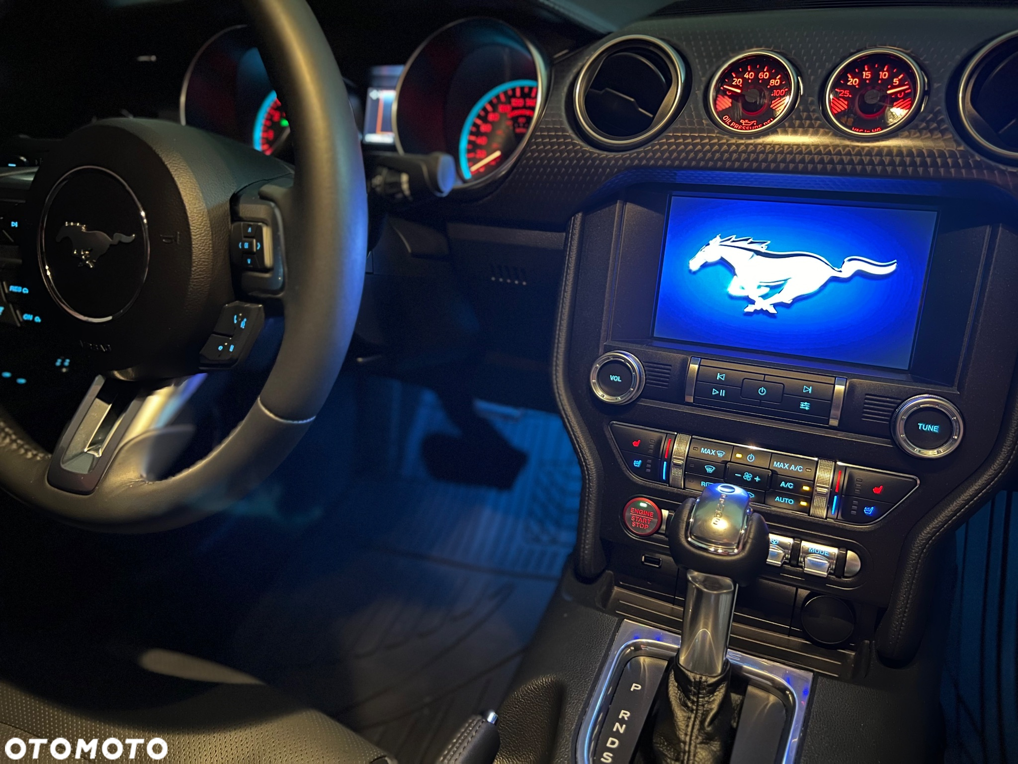 Ford Mustang 5.0 V8 Mach 1 - 34