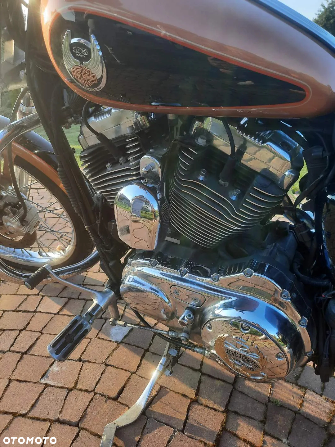 Harley-Davidson Sportster Custom 1200C - 5