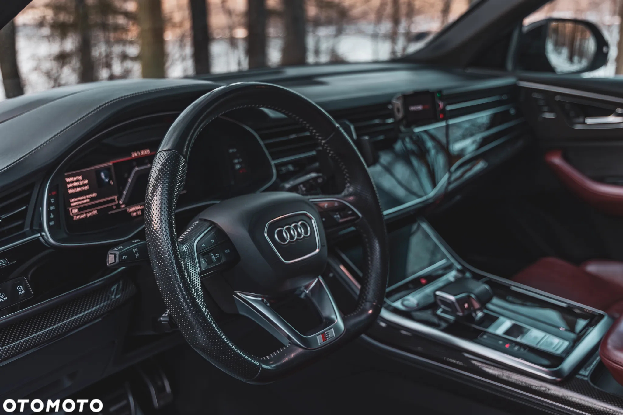 Audi SQ8 - 9