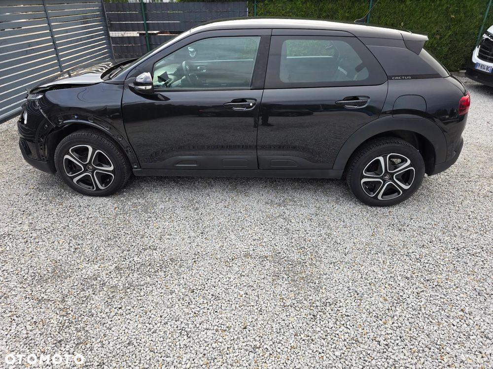 Citroën C4 Cactus BlueHDi 100 Stop&Start Shine - 15