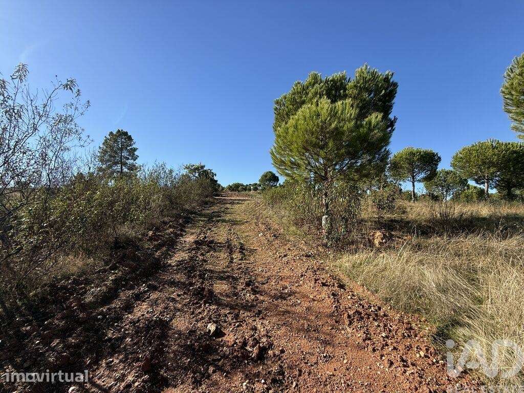 Casa de Campo T1 em Amieira e Alqueva de 36 m2 - Grande imagem: 3/23