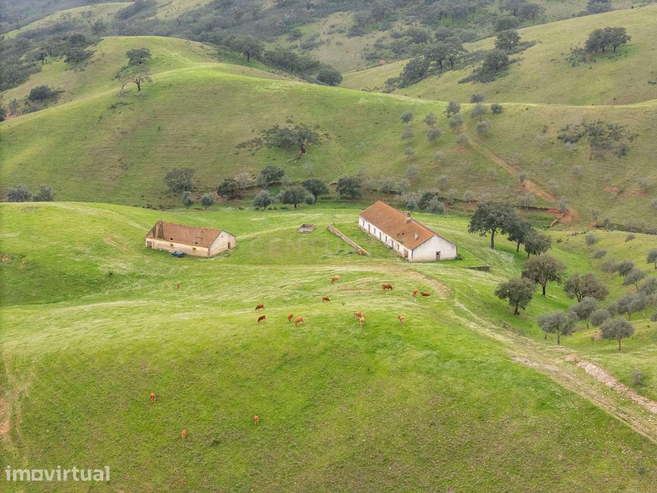 229 Hectares com 3 barragens no Alentejo - Grande imagem: 3/25