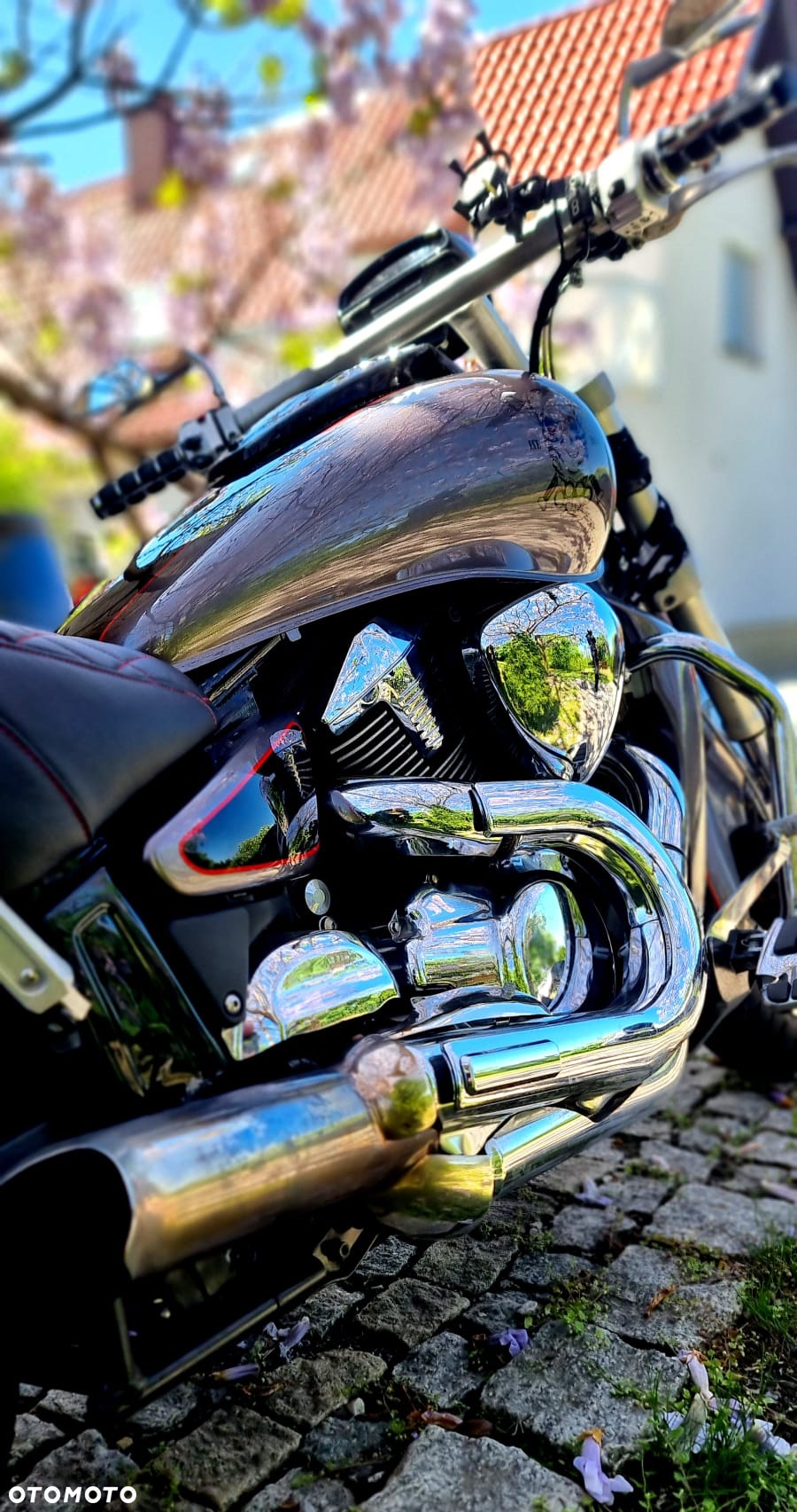 Suzuki VZ - 8