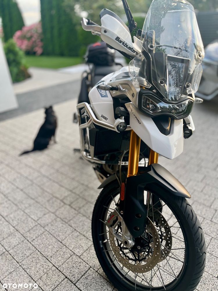 Triumph Tiger - 13