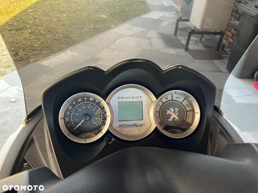 Peugeot Citystar - 7