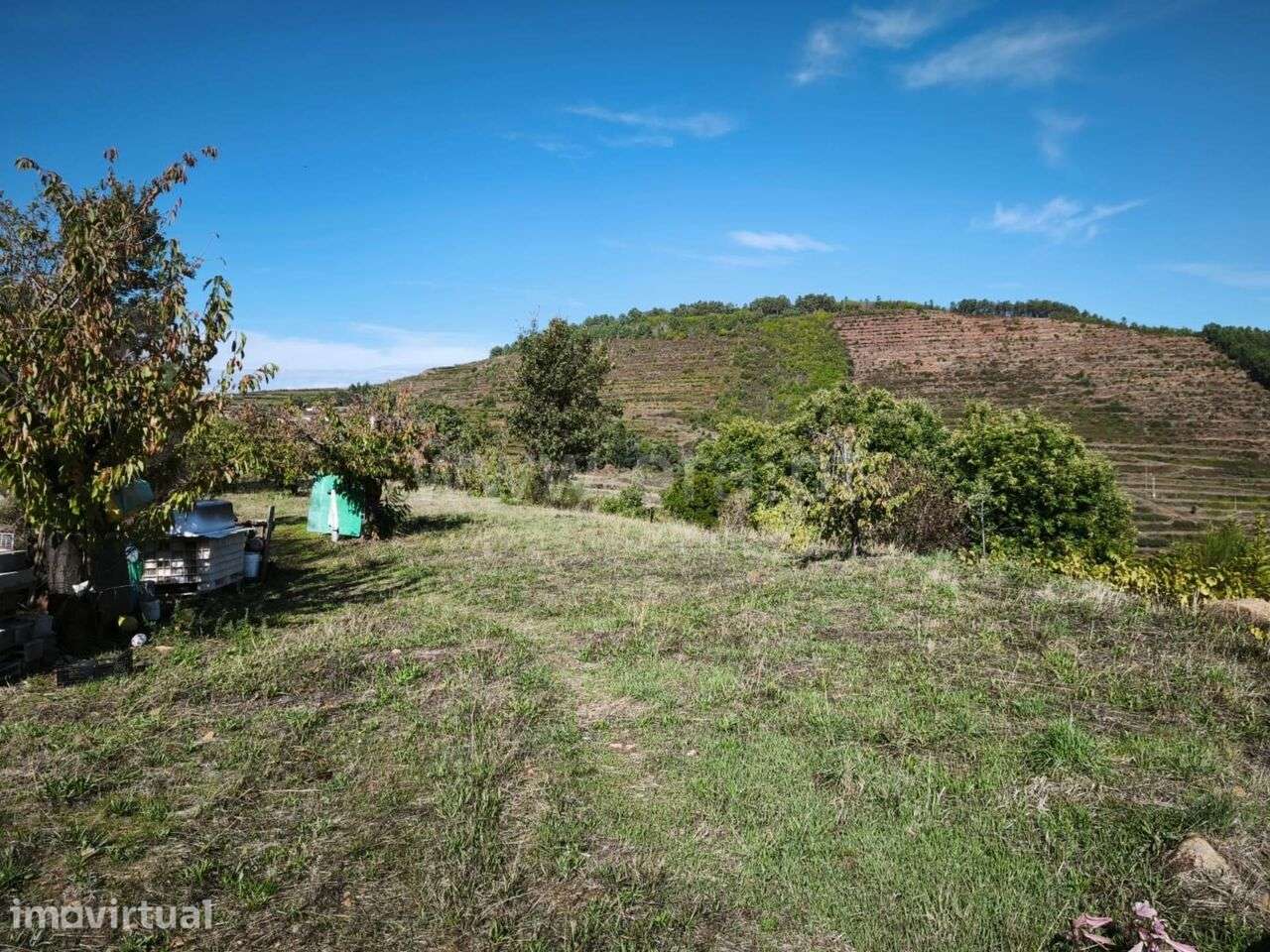 Quinta / Fundão, Alcongosta - Grande imagem: 4/11