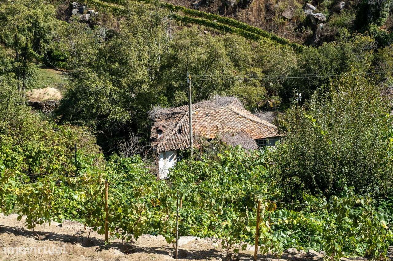 Casa de Habitação + 3 Moinhos de Água - Centro de Lamego - Grande imagem: 3/19