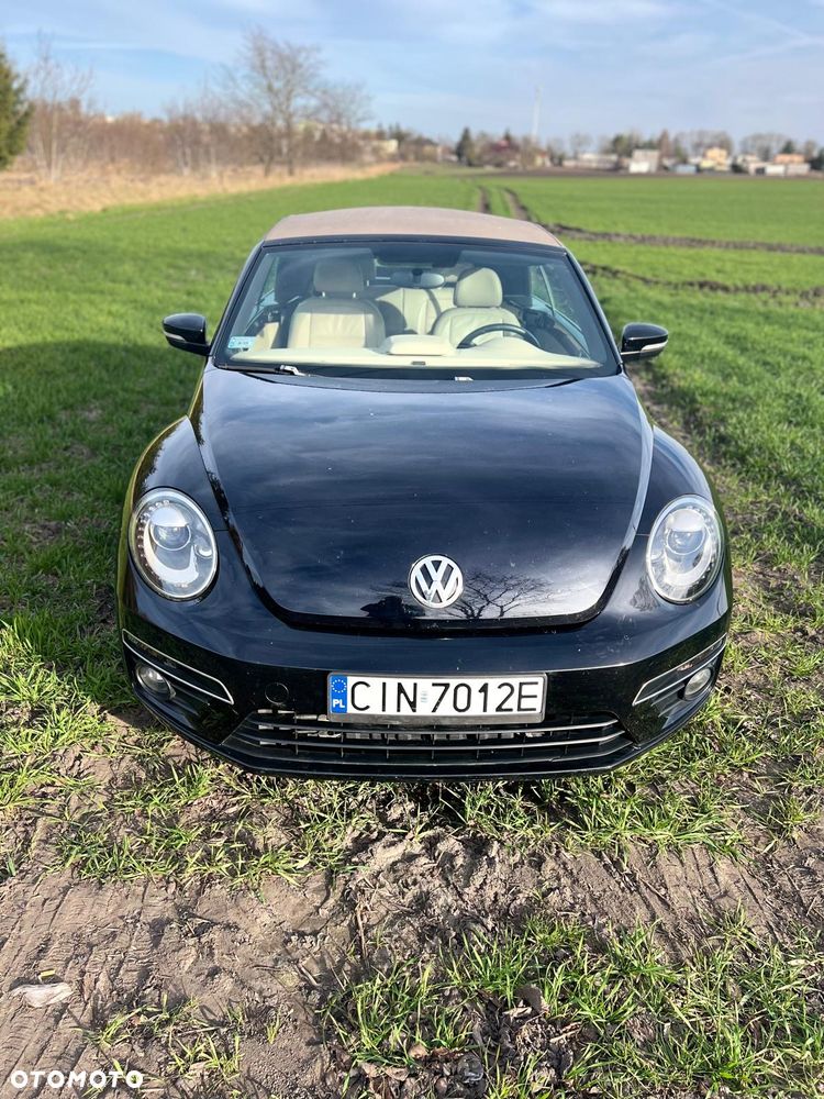 Volkswagen Beetle - 6