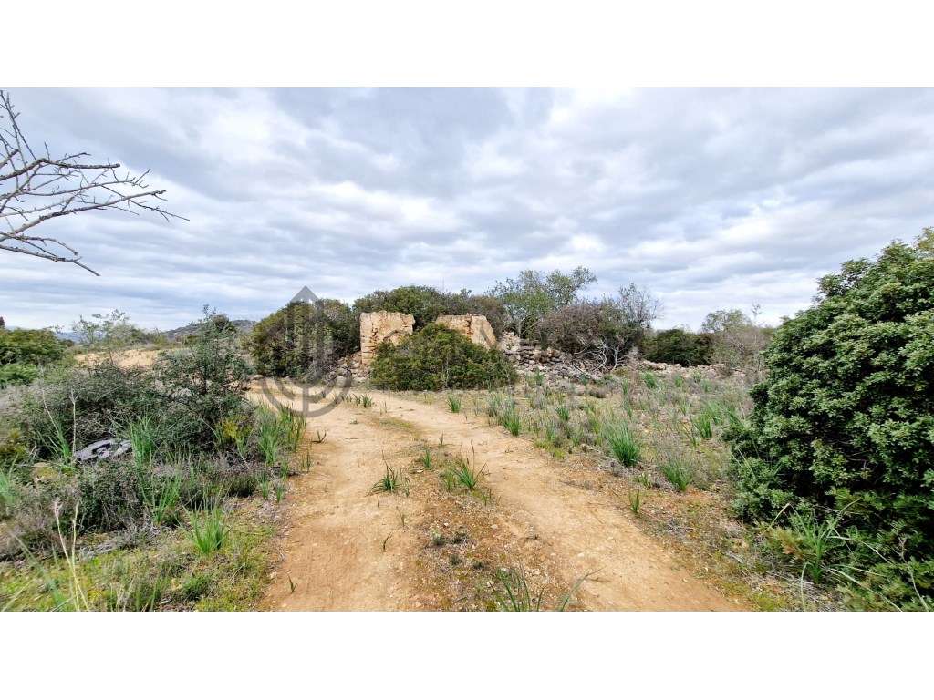 Terreno com Ruína - Grande imagem: 2/19