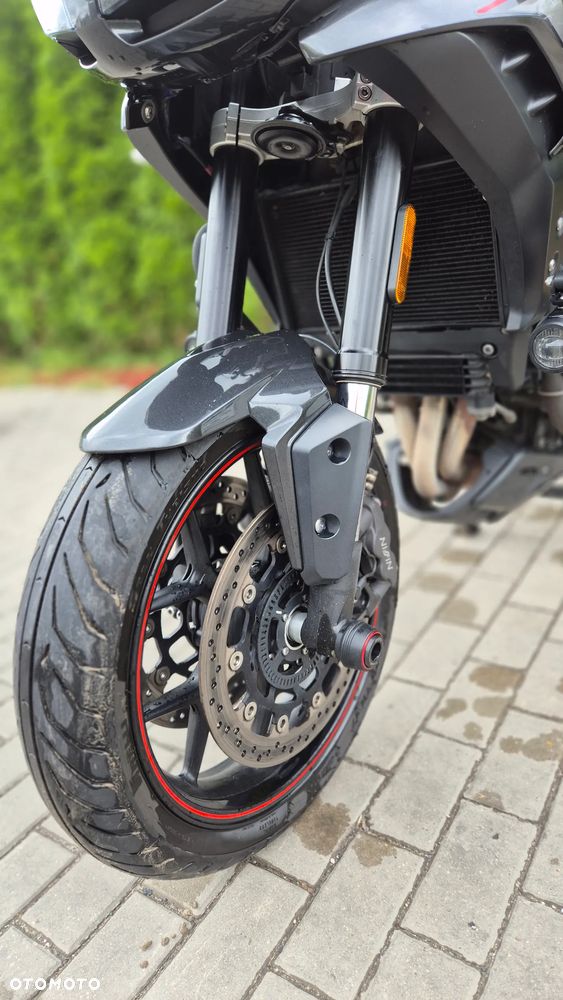 Triumph Tiger - 18