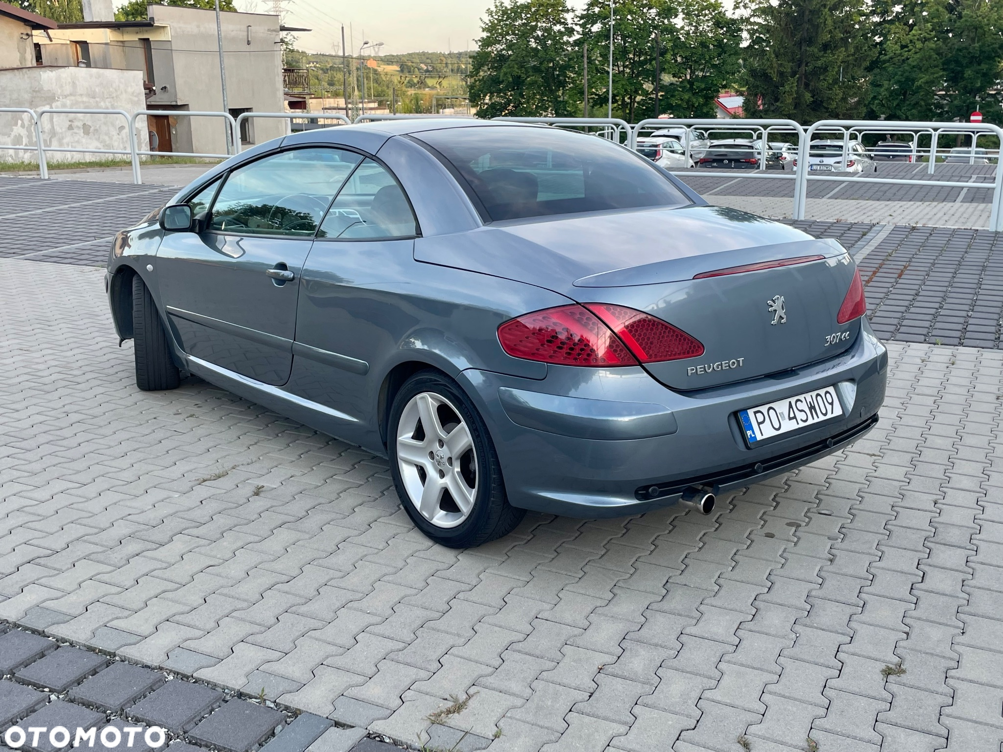 Peugeot 307 CC 2.0 - 23