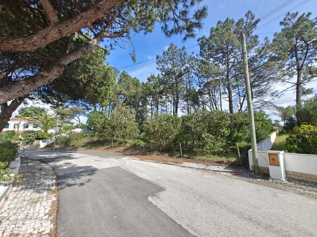 Lote a apenas 750 metros da Lagoa de Óbidos - Grande imagem: 5/9