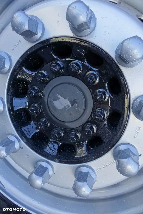 Schmitz Cargobull FIRANKA / STANDARD / OSIE SCHMITZ / NOWE PLANDEKI / OCYNK/ KOSZ NA KOŁO ZAPASOWE - 13