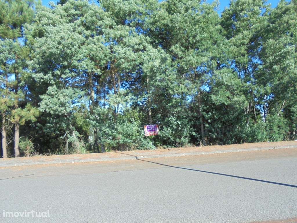 Terreno Urbano Águeda - Grande imagem: 2/6