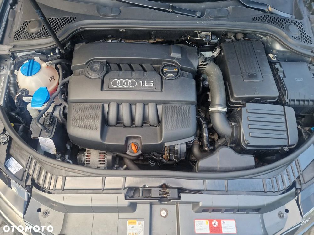 Audi A3 Sportback 1.6 Ambiente - 13