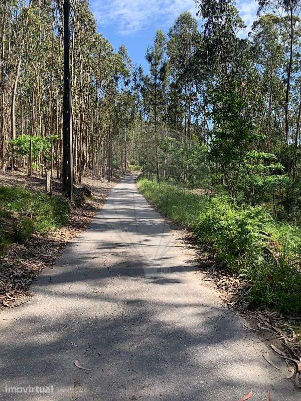 Terreno  para venda - Grande imagem: 2/10