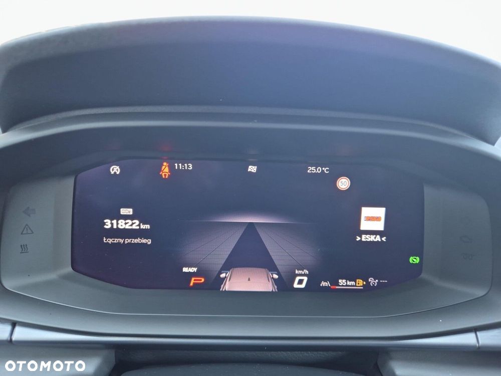 Cupra Terramar - 22