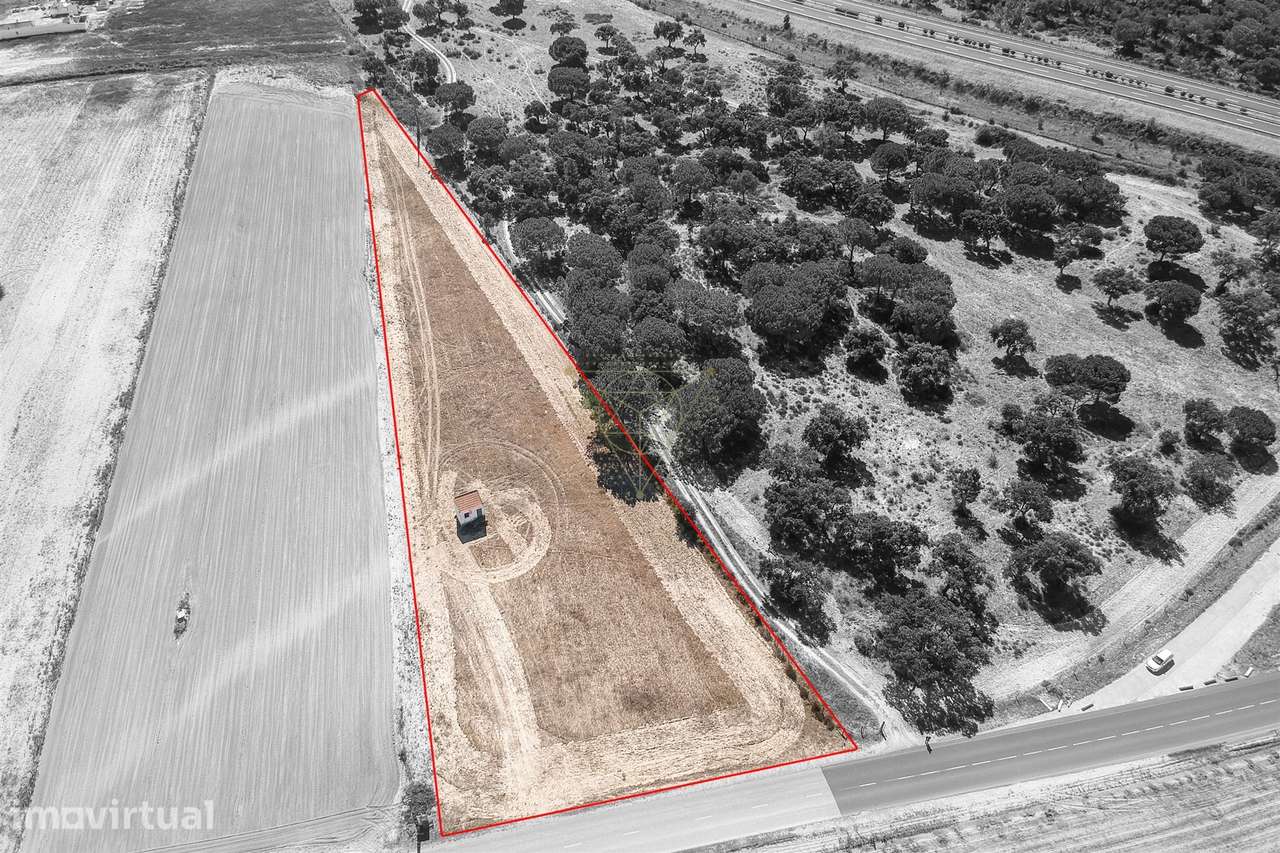 Terreno Para Construção  Venda em Benavente,Benavente - Grande imagem: 4/8