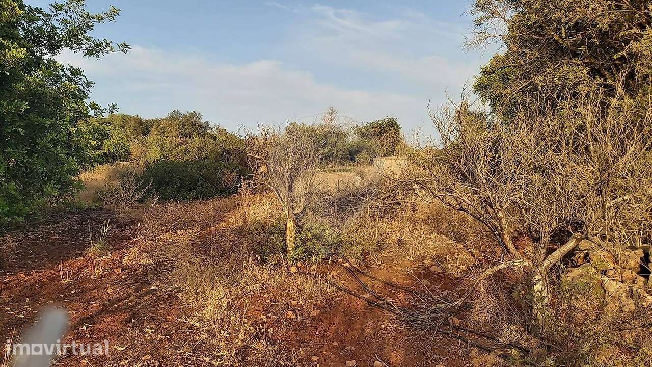 Terreno  para venda - Grande imagem: 3/13