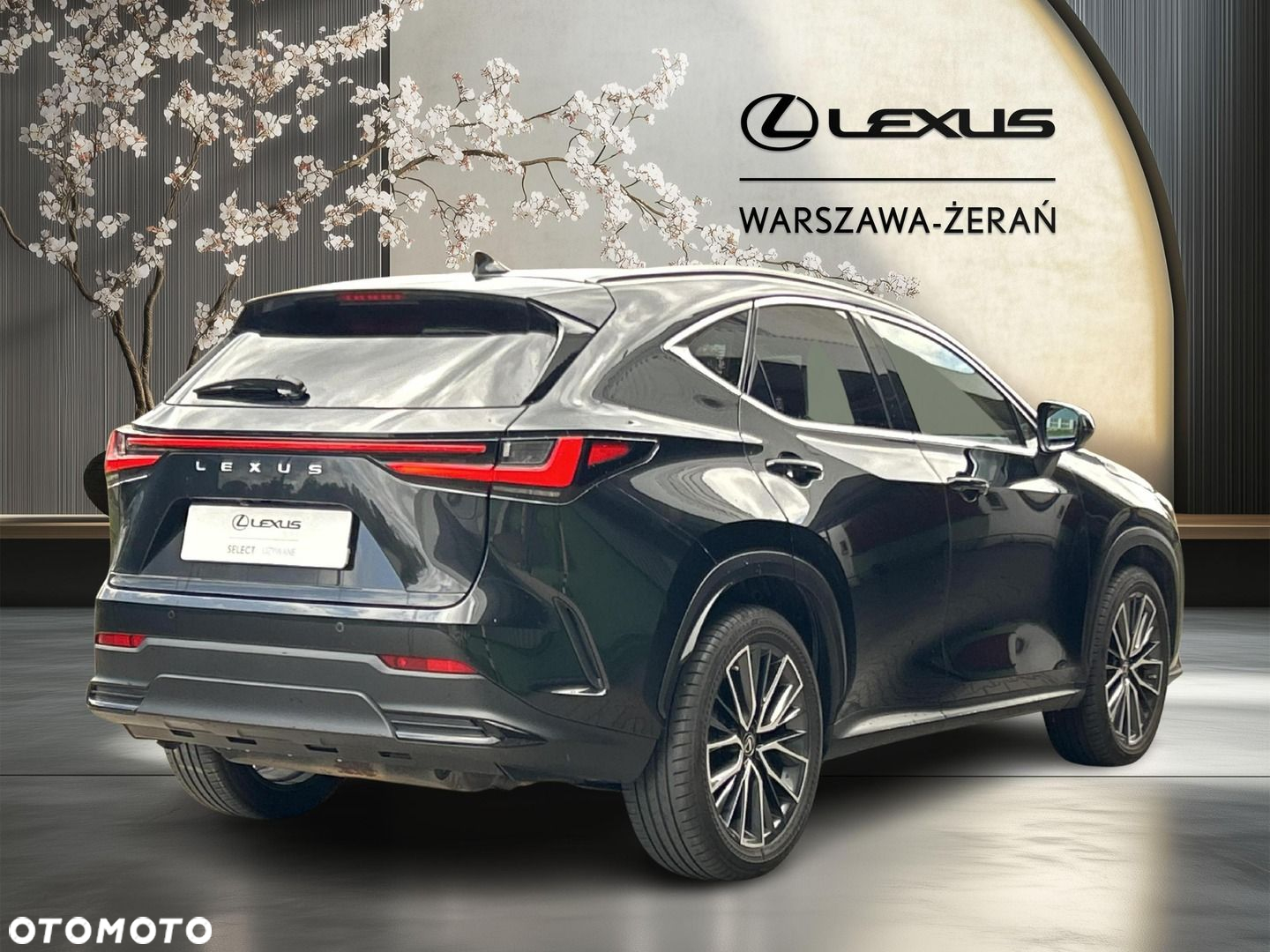 Lexus NX - 7