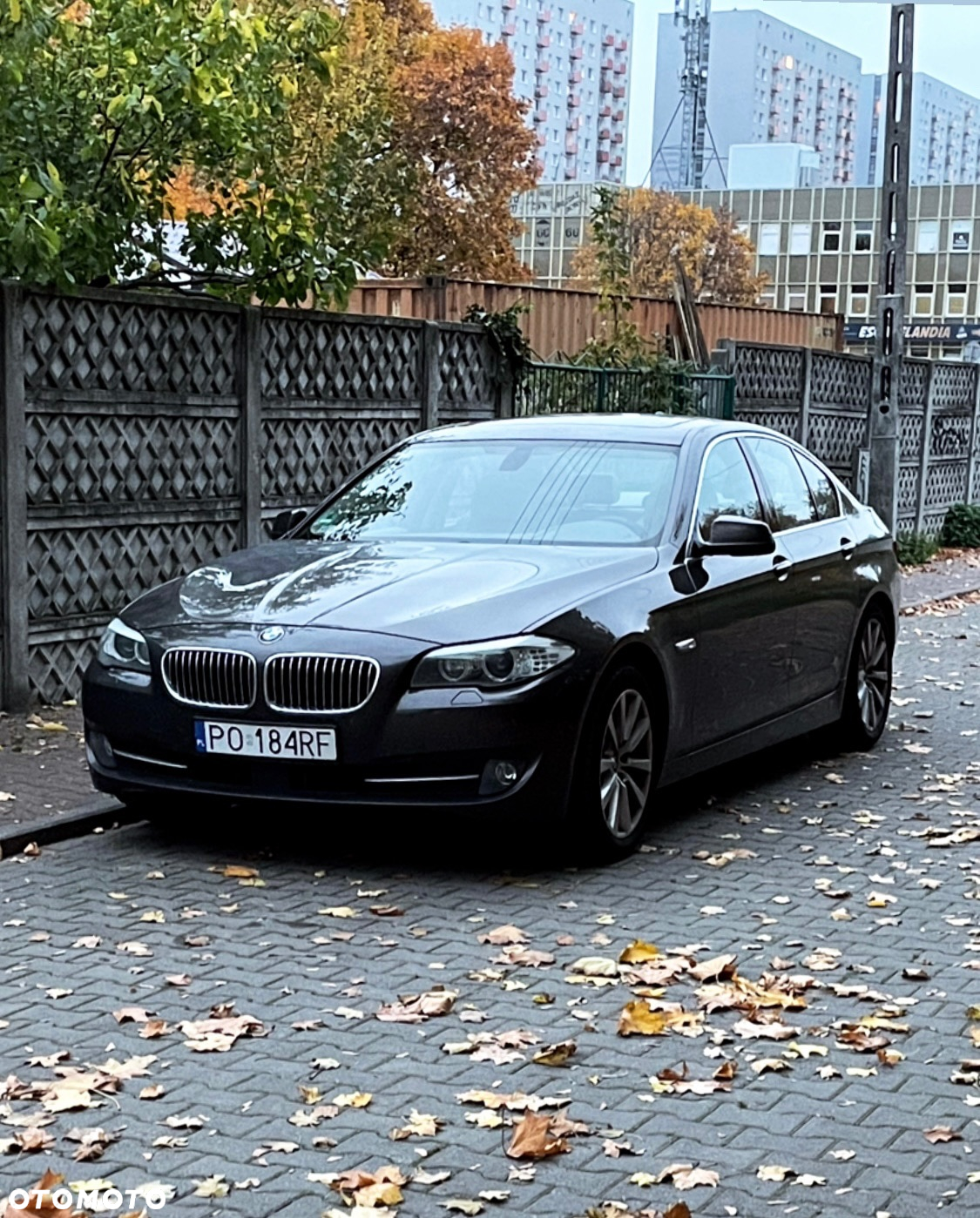 BMW Seria 5 - 9