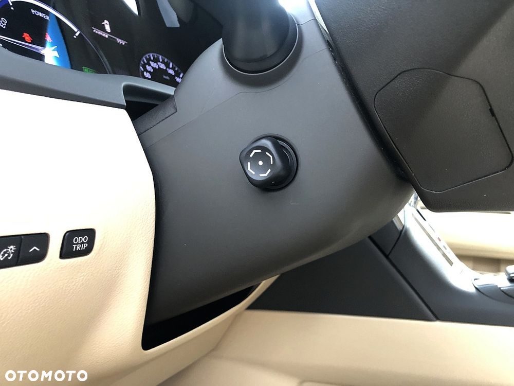 Lexus RX 450h (hybrid) Luxury Line - 20