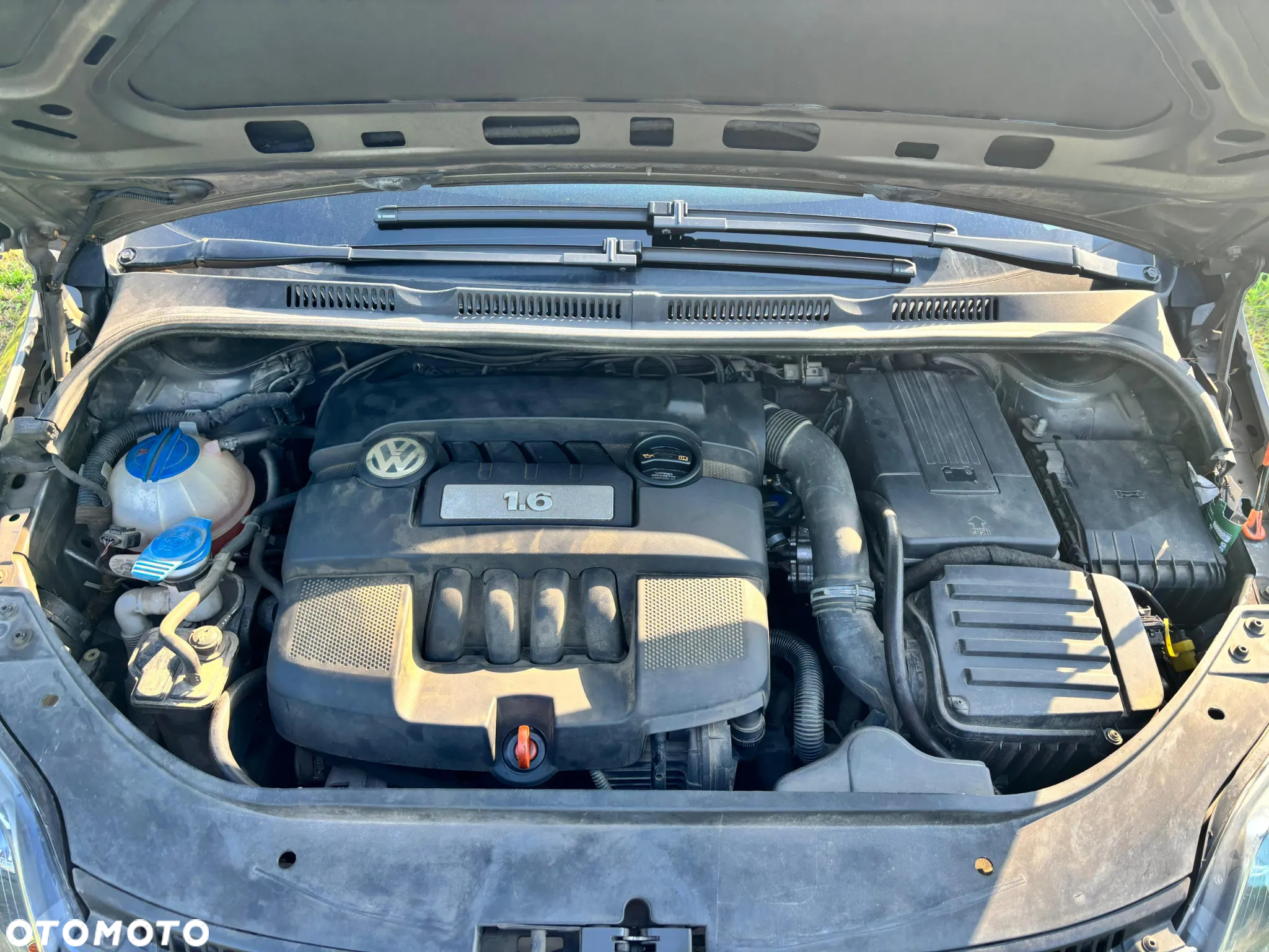 Volkswagen Golf Plus 1.6 United - 24