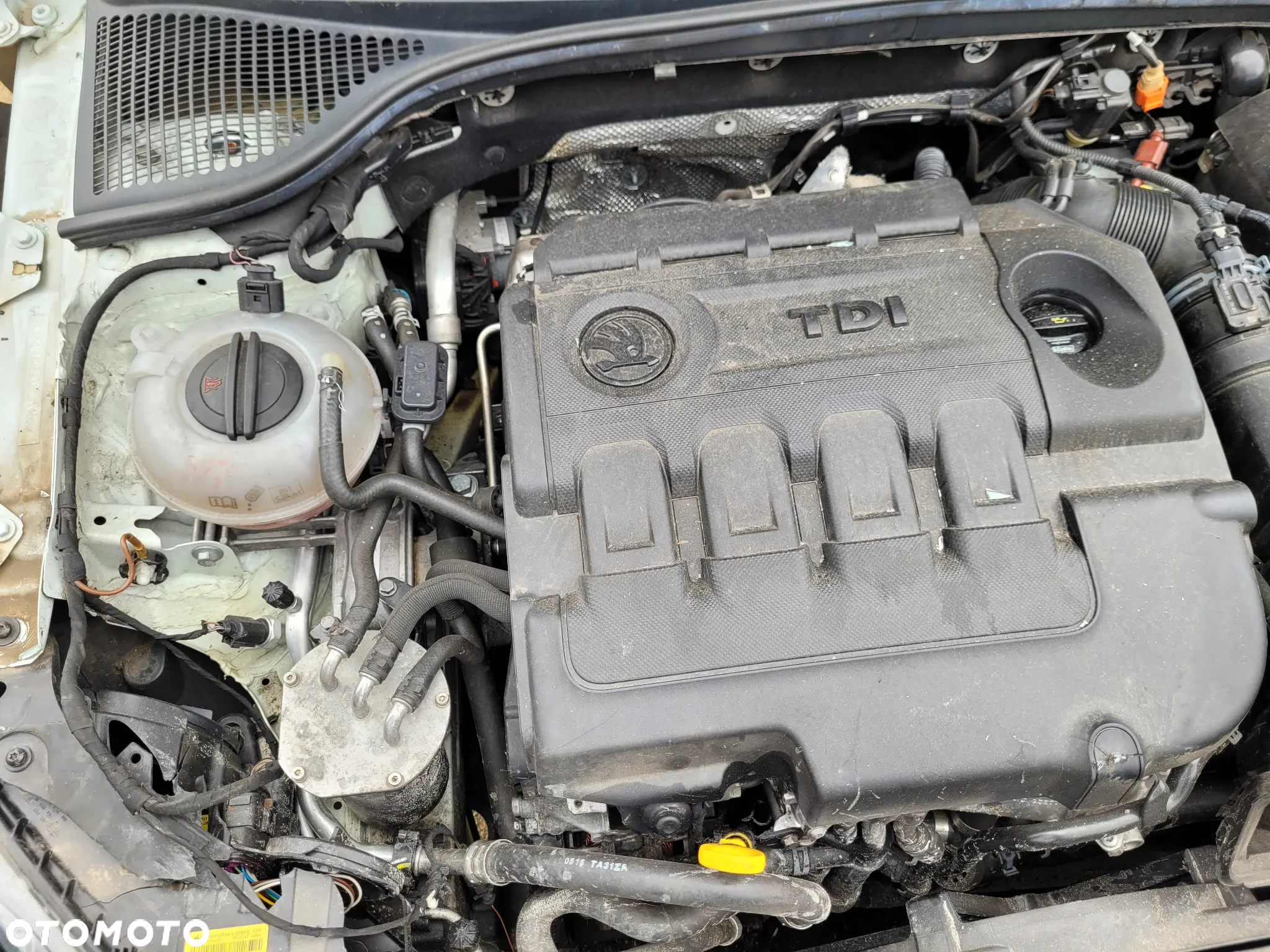Skoda Octavia 1.6 TDI 4x4 Ambition - 16
