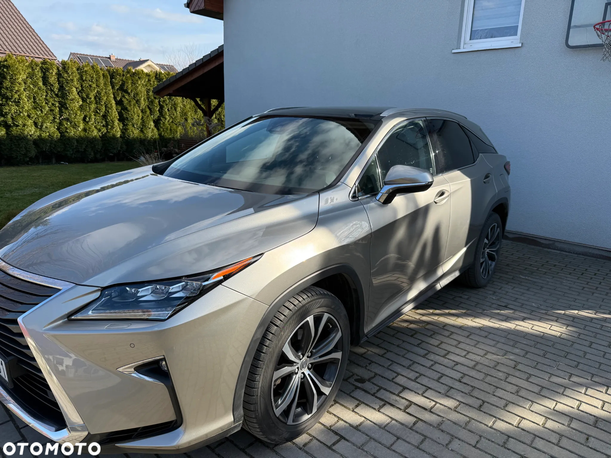 Lexus RX 200t / 300 Elegance - 8