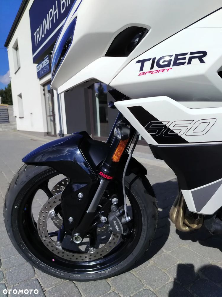 Triumph Tiger - 6