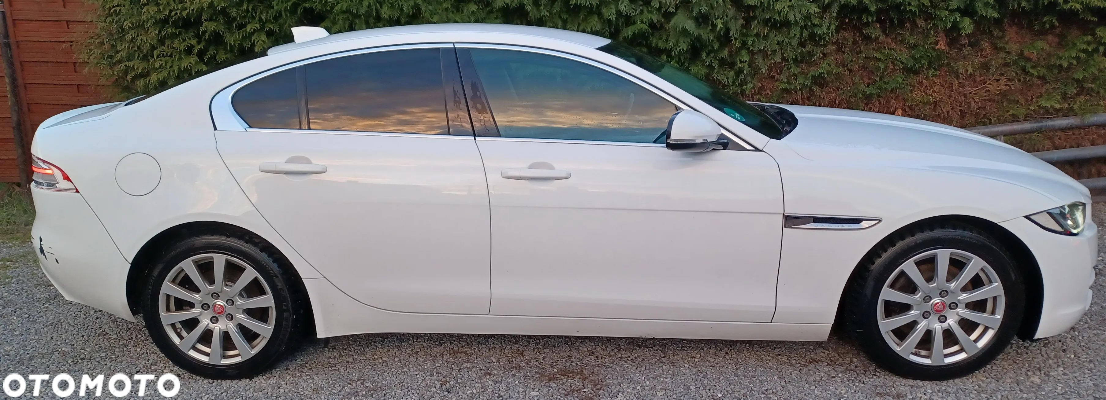 Jaguar XE - 1