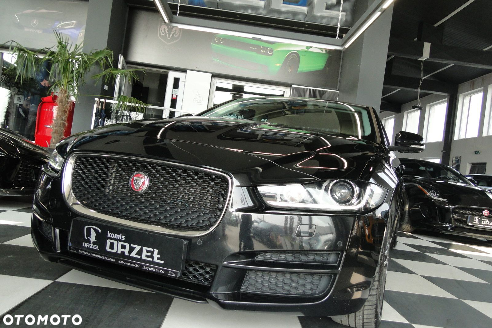 Jaguar XE - 7