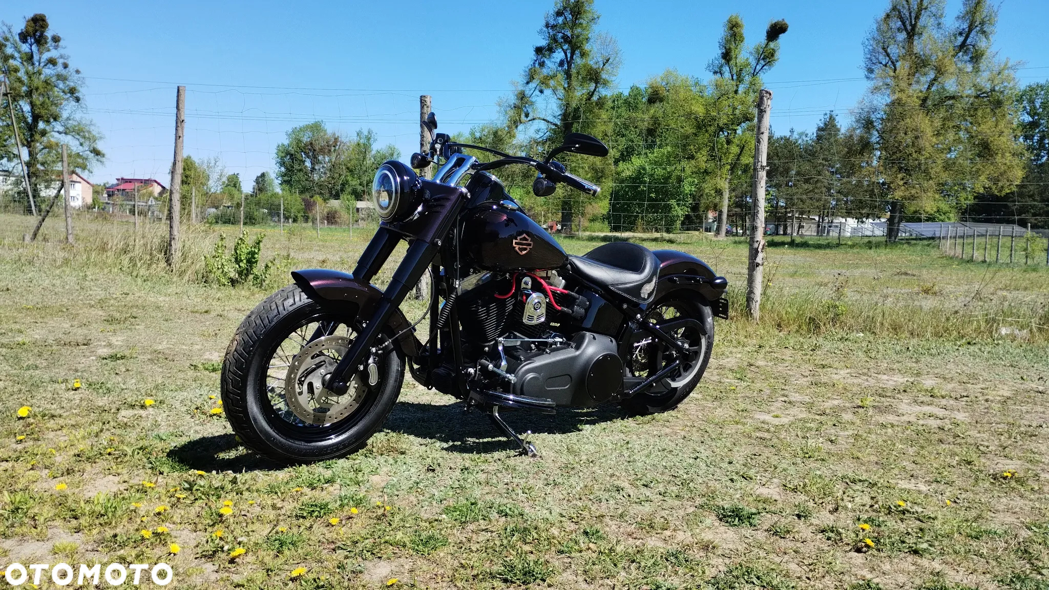 Harley-Davidson Softail Slim - 5