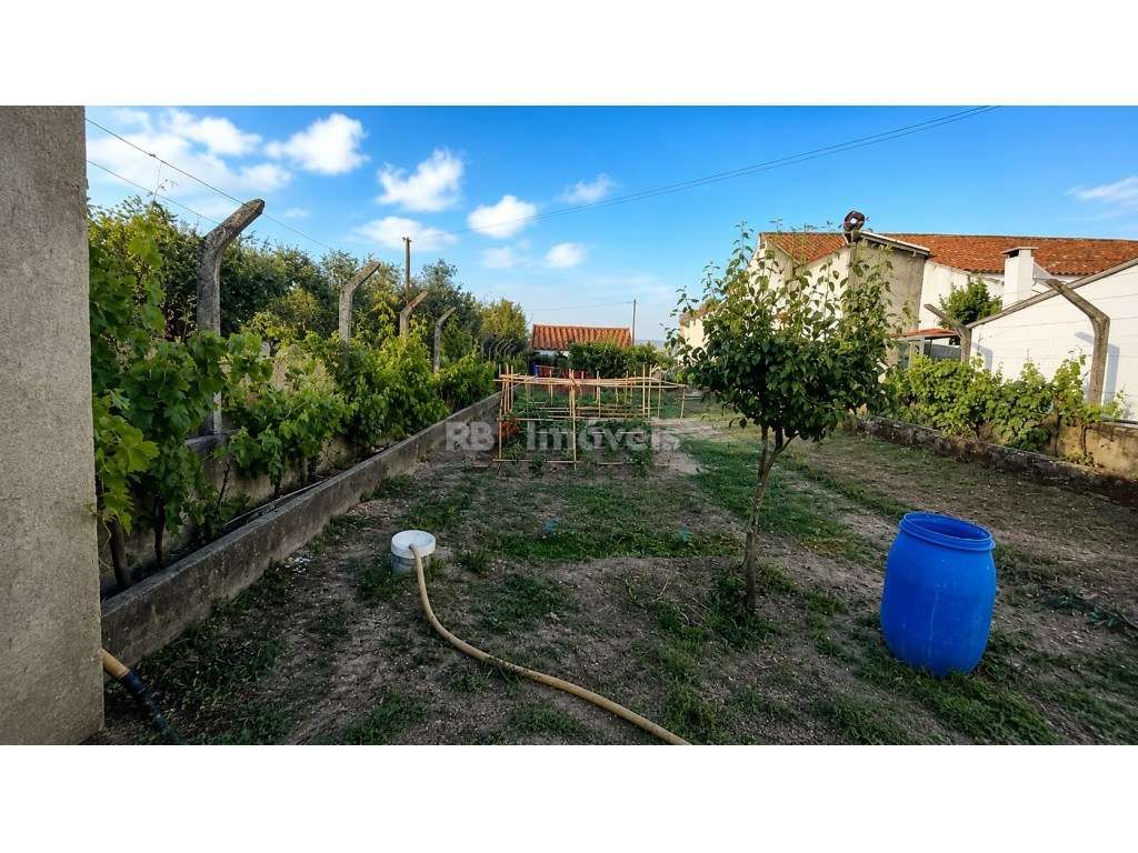 Terreno Urbanizável c/ 1.720 m², Furo, Luz, Barracão e Árvores de F... - Grande imagem: 4/46