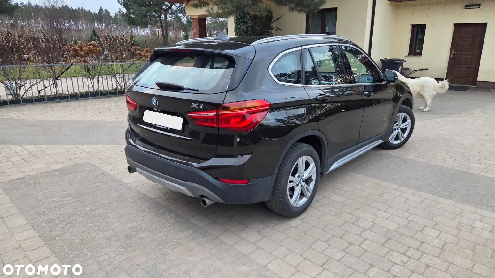 BMW X1 xDrive20d - 6