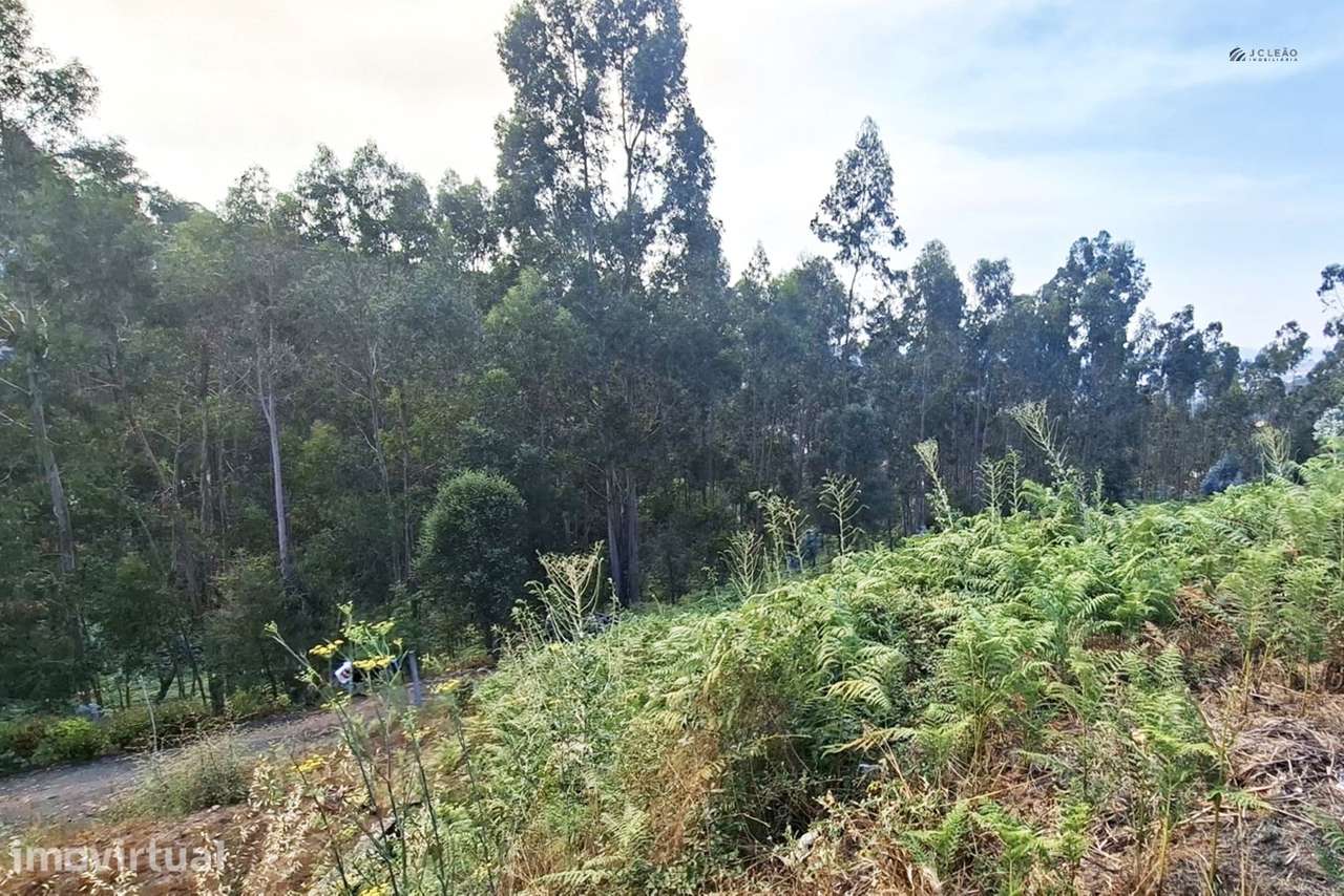 Terreno Rústico  Venda em Lustosa e Barrosas (Santo Estêvão),Lousada - Grande imagem: 3/14