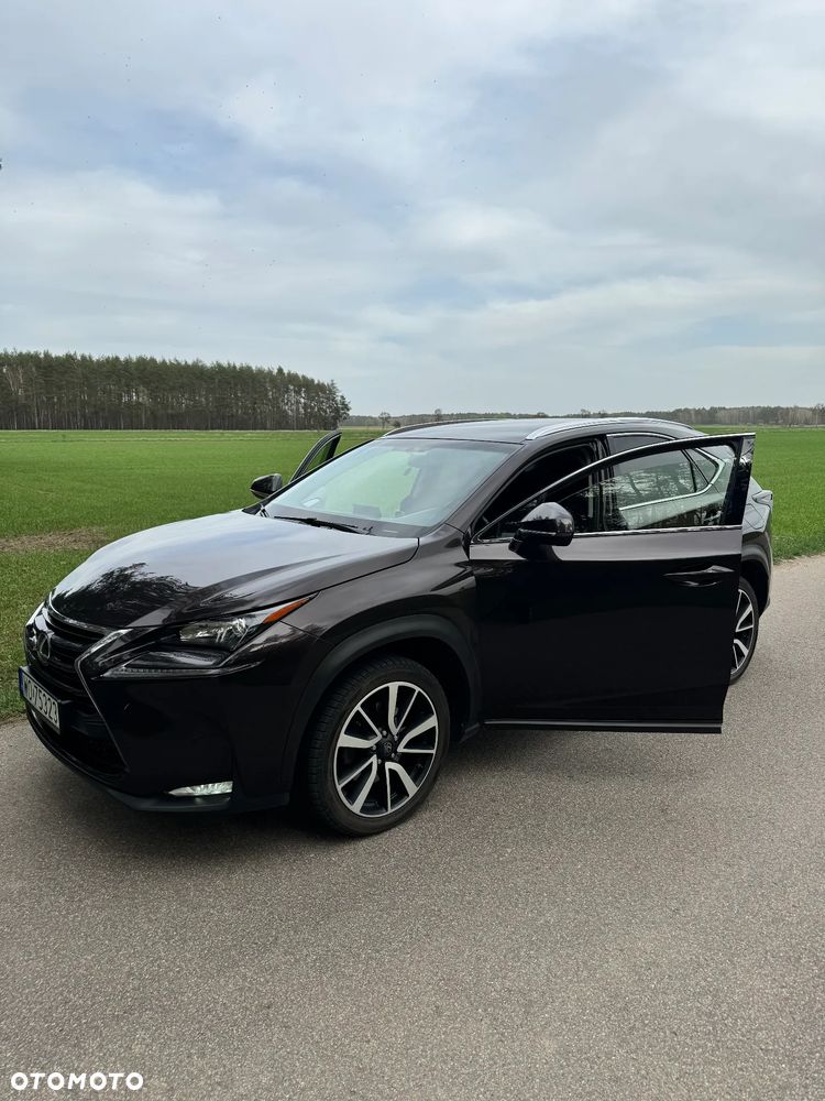 Lexus NX - 5