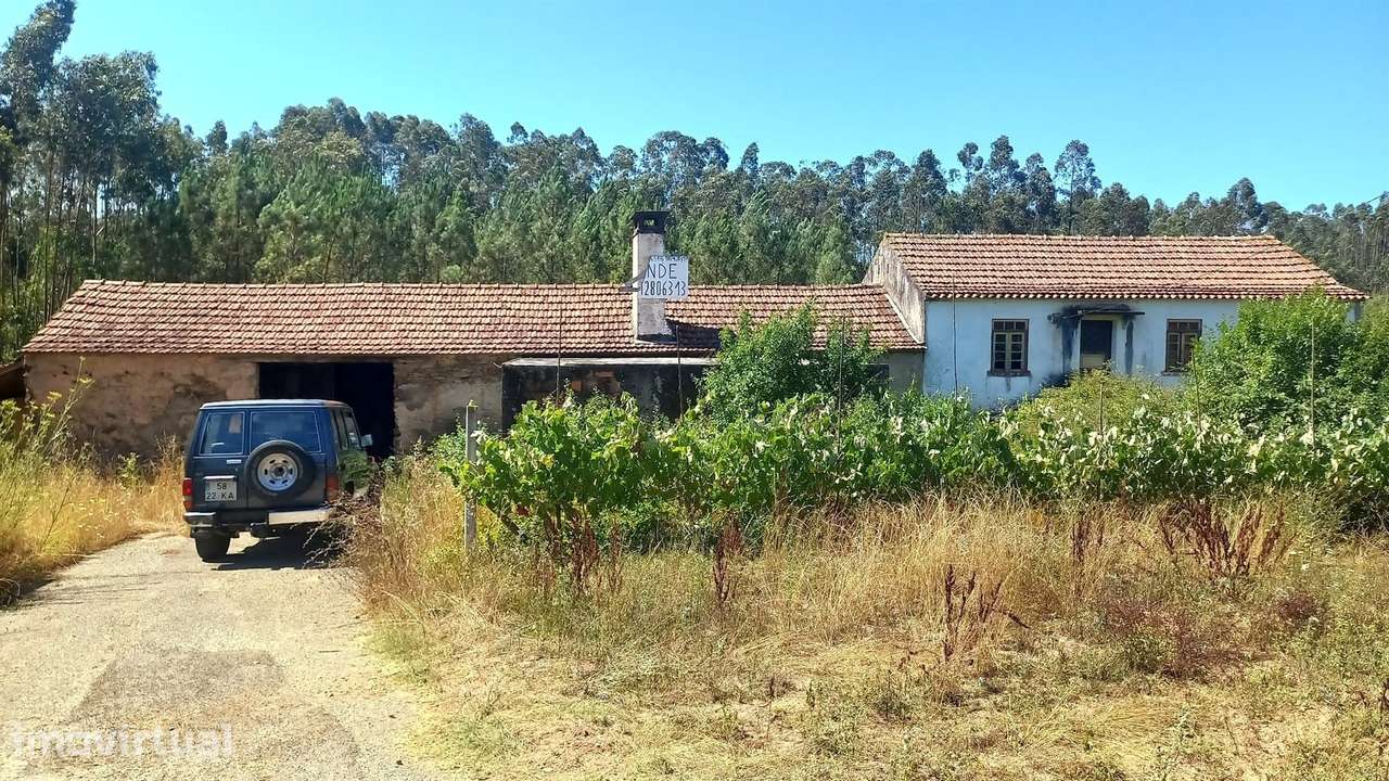 Quintinha T4 Venda em Carvalho,Penacova - Grande imagem: 3/42