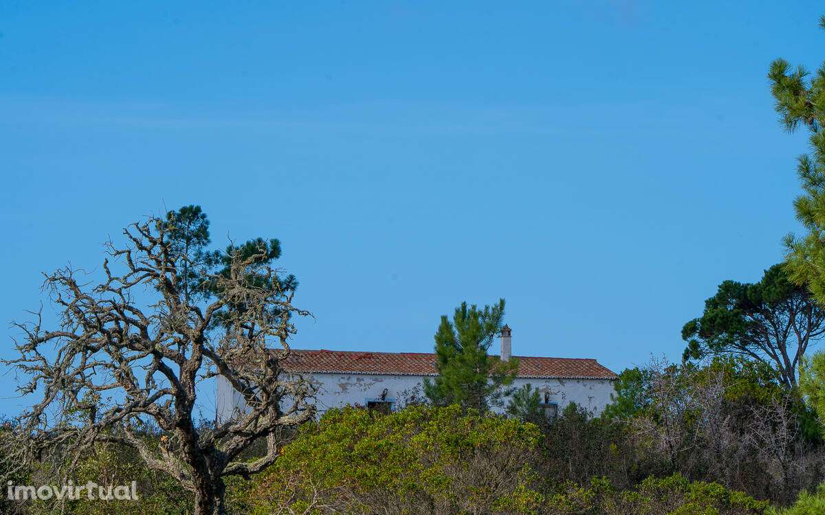Quintinha Alfambras com vista mar - Grande imagem: 4/10