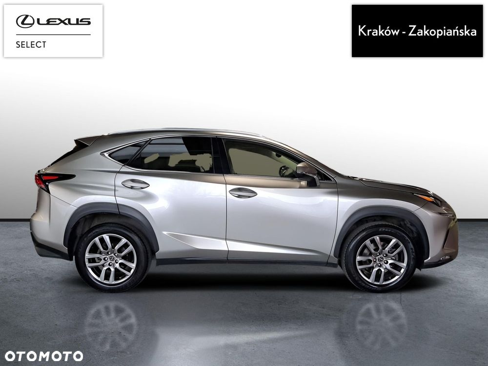 Lexus NX 300 Prestige AWD - 7