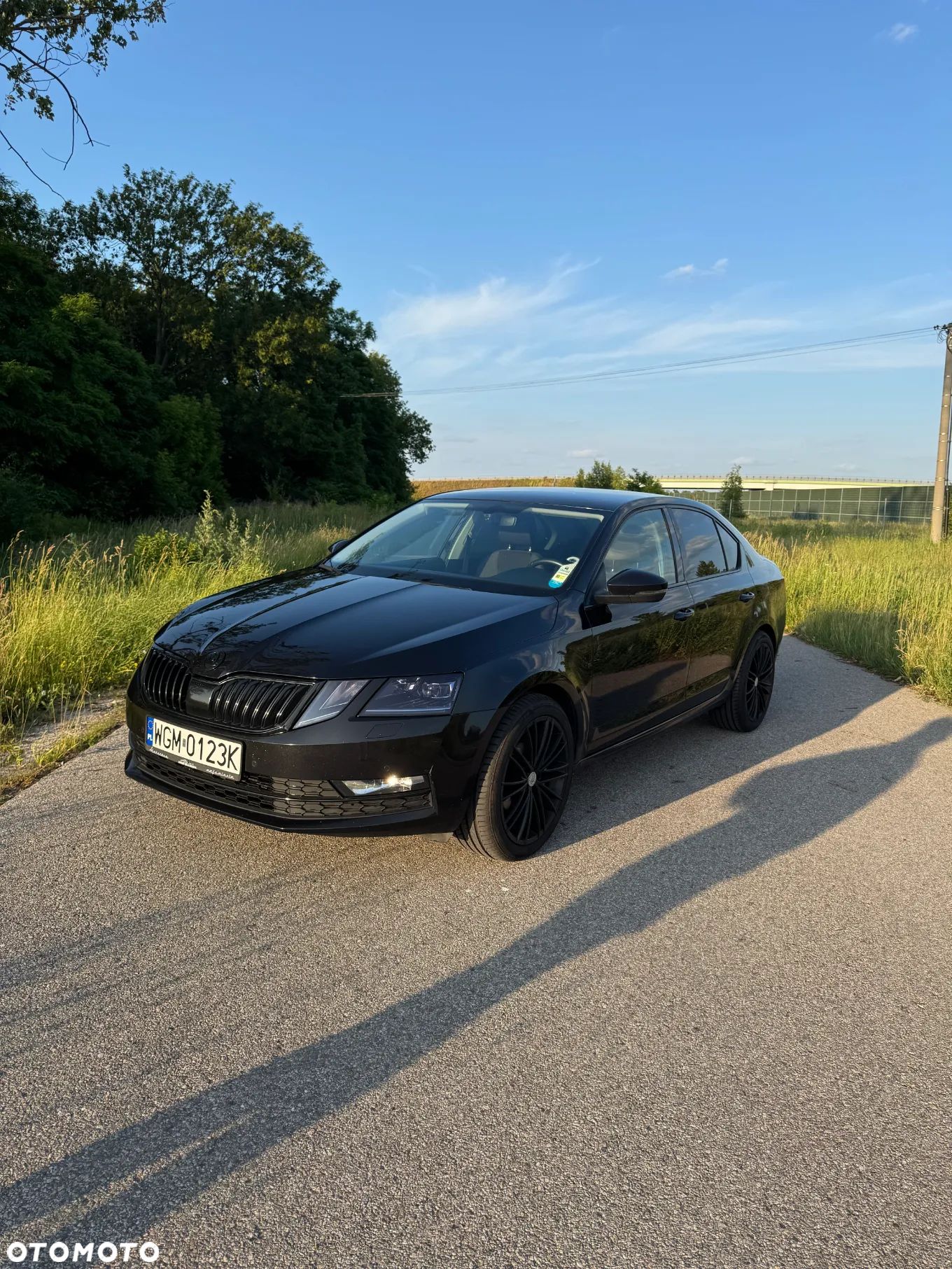Skoda Octavia 1.5 TSI ACT Ambition DSG - 1