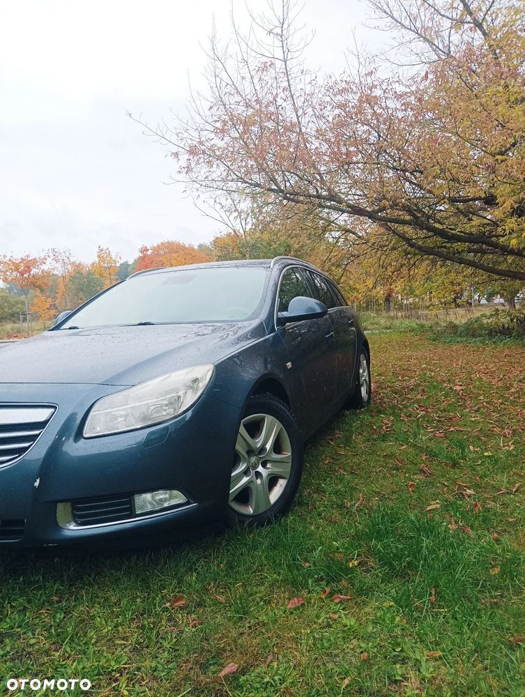 Opel Insignia 2.0 CDTI Sports Tourer - 2
