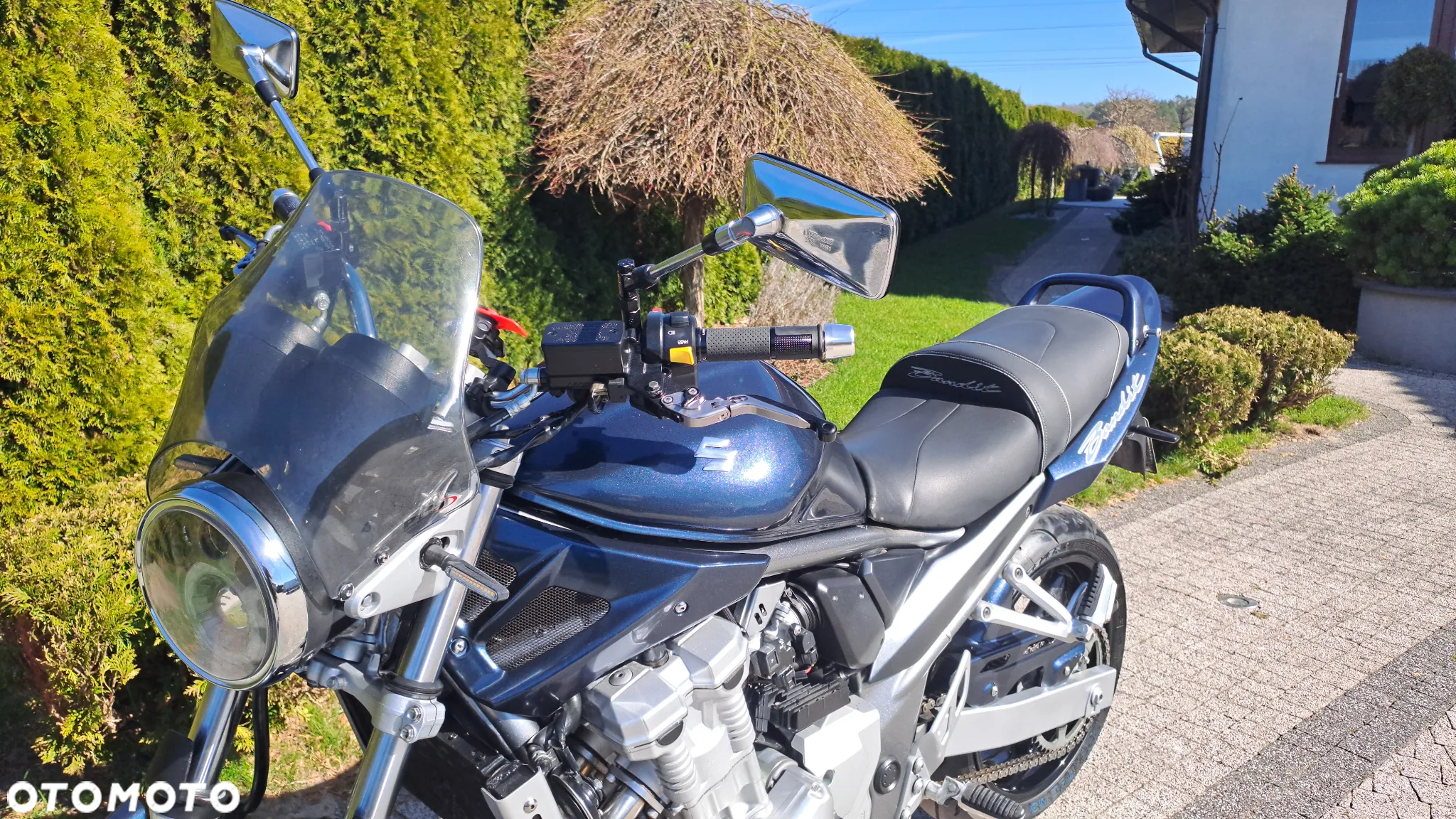 Suzuki Bandit - 20