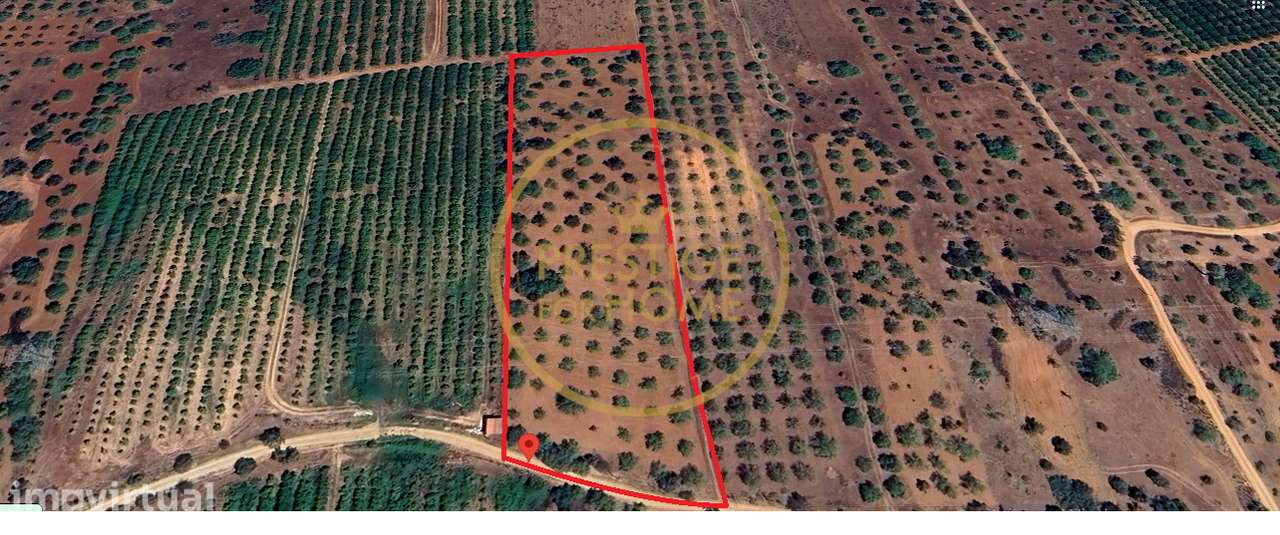 Terreno, 10 892 m², Paderne - Grande imagem: 2/15